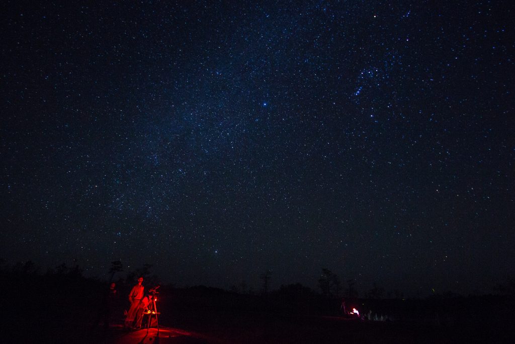 An Unforgettable Dark Sky Night at The Bears Den Camp in The Big Cypress Swamp