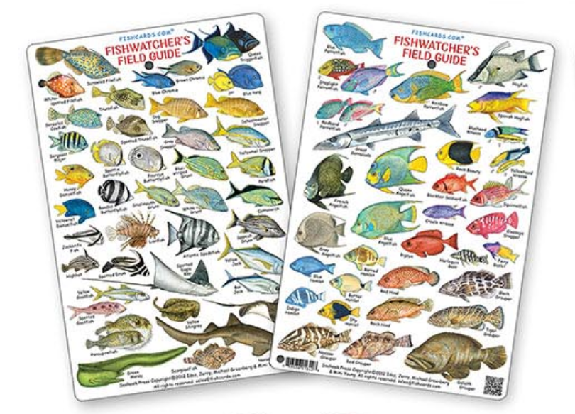 Wp- Fishwatchers Field Guide: Fishes of Tropical Atlantic