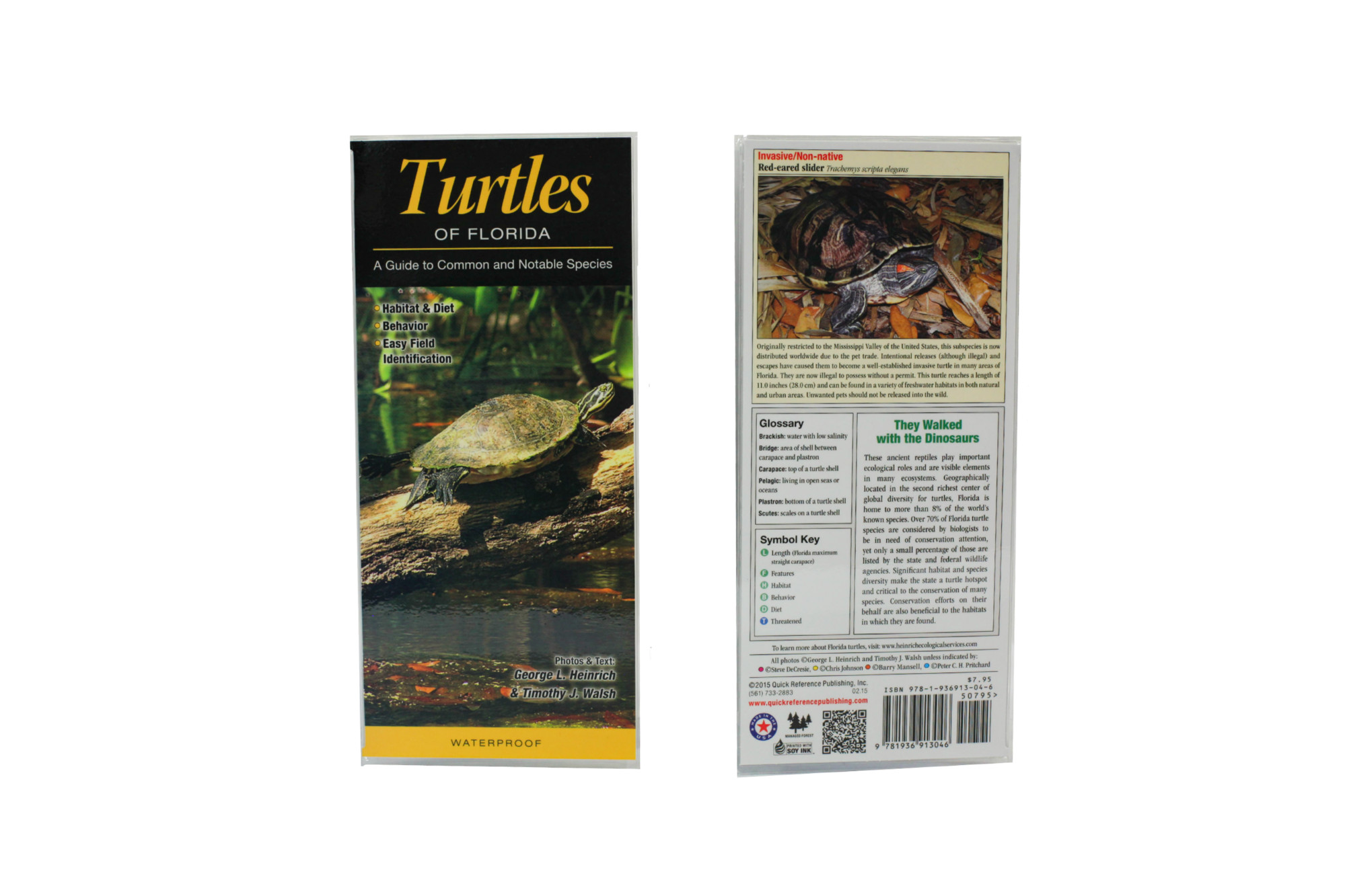 Wp- Turtles of Florida - Florida National Parks Association