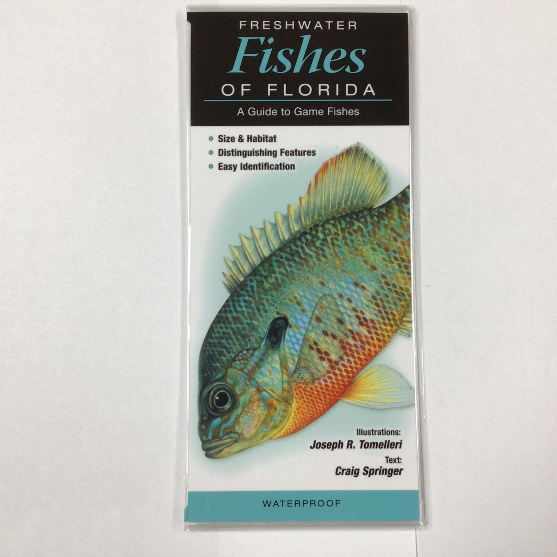 Wp- Freshwater Fish of Florida Field Guide - Florida National Parks  Association